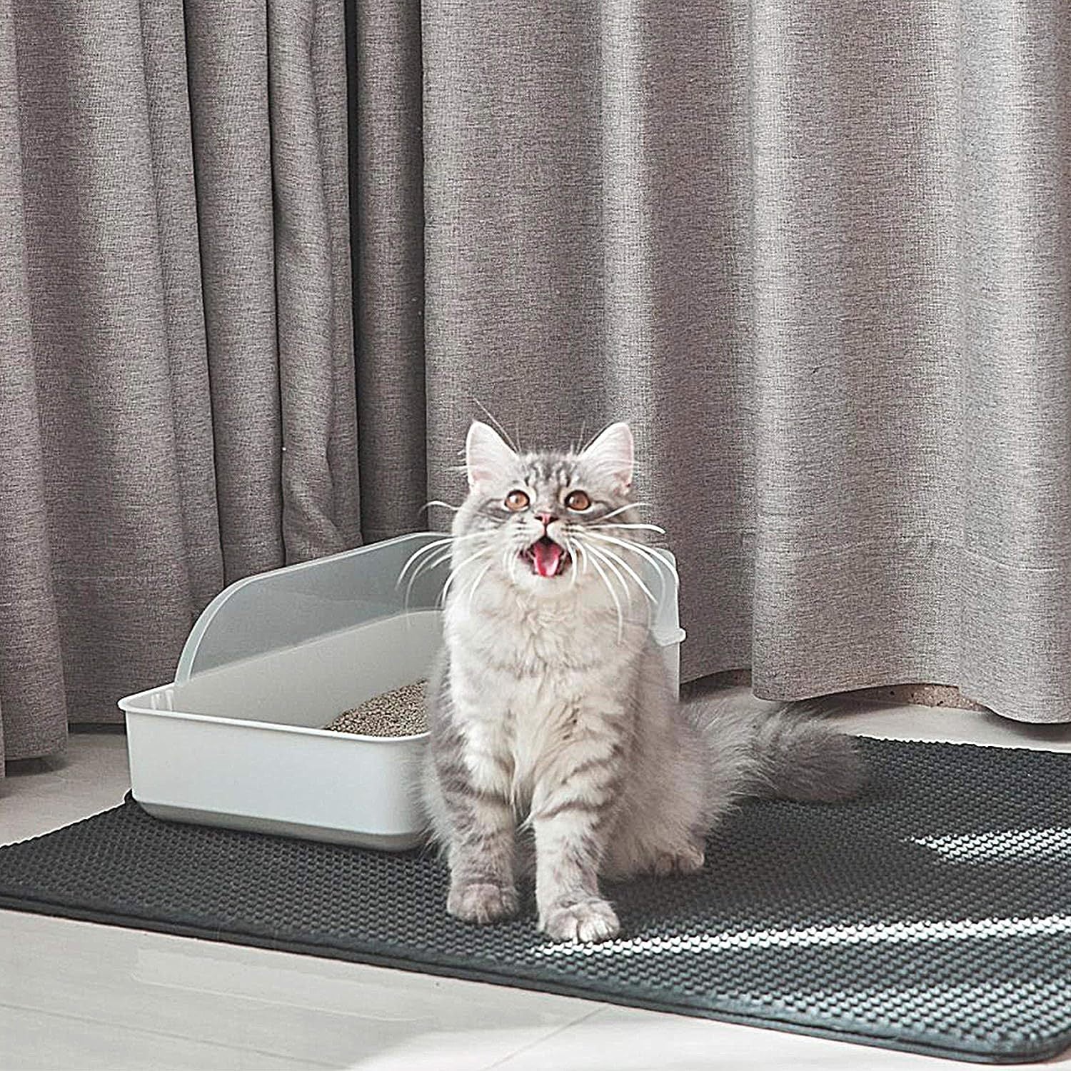 Double Layer Cat Litter Mat