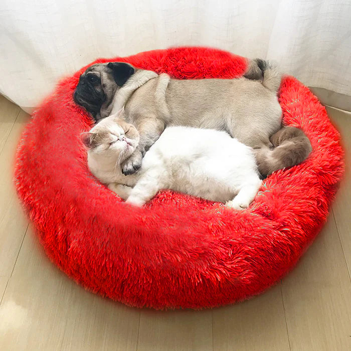 Cozy Pet bed